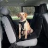 Trixie Auto Beschermdeken Afmetingen: 1,45 × 1,60 M Kleur: Zwart 1 Trixie Auto Beschermdeken Afmetingen: 1,45 × 1,60 M Kleur: Zwart -Halsbanden en riemen Winkel 143854 45800.x800