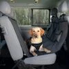 Trixie Auto Beschermdeken Afmetingen: 1,40 × 1,45 M Kleur: Zwart-bruin 1 Trixie Auto Beschermdeken Afmetingen: 1,40 × 1,45 M Kleur: Zwart-bruin -Halsbanden en riemen Winkel 143858 45802.x800