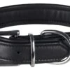 Active Comfort Halsband Afmetingen: 47-54 Cm/35 Mm Kleur: Zwart 2 Active Comfort Halsband Afmetingen: 47-54 Cm/35 Mm Kleur: Zwart -Halsbanden en riemen Winkel 159658 52800 4.x800