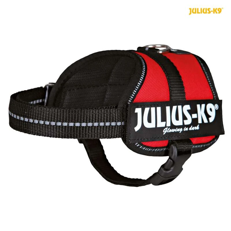 Julius-k9 Power Maat Baby: 33 - 45 Cm Rood 3 Julius-k9 Power Maat Baby: 33 - 45 Cm Rood