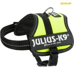 Julius-k9 Power Maat Baby: 33 - 45 Cm Neon