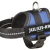 Julius-k9 Power Maat Baby: 33 - 45 Cm Blauw -Halsbanden en riemen Winkel 262793 PHO PRO CLIP 150702 2 blauw.x800