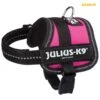Julius-k9 Power Maat Baby: 33 - 45 Cm Roze -Halsbanden en riemen Winkel 262794 PHO PRO 150708 2.x800