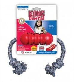 Kong Dental Medium Rood + Touw