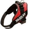 Julius-k9 Power Harnas Mini-Mini: 40 - 53 Cm Rood -Halsbanden en riemen Winkel 9200000010749088 2.x800