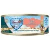 Renske Blik Vers Gestoomd Zalm 24x95 Gram -Halsbanden en riemen Winkel 9249 30015083 11.x800