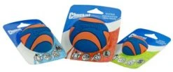 Chuckit Ultra Squeaker Ball Medium 2-pack
