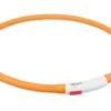 Trixie Flash Lichtgevende Halsband USB XS-XL | ORANJE -Halsbanden en riemen Winkel dffgdf.x800