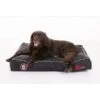 Doggy Bagg Siesta X Treme Black | L 100x70x15cm