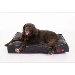 Doggy Bagg Siesta X Treme Black | L 100x70x15cm