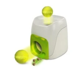 AFP Interactive Fetch'N Treat