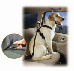 Pet Buckle Autogordel Smal