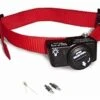 Petsafe Wireless Fence Pet Containment System (instant Fence) Extra Halsband 2 Petsafe Wireless Fence Pet Containment System (instant Fence) Extra Halsband -Halsbanden en riemen Winkel pwf19 10762 product.x800