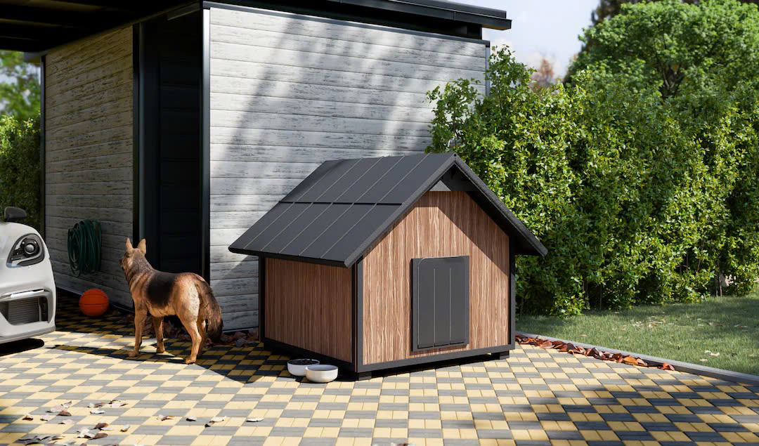 Halsbanden en riemen Winkel -Halsbanden en riemen Winkel z6439957384564 a6e9494e8ee3b6256c94abf000a8d659