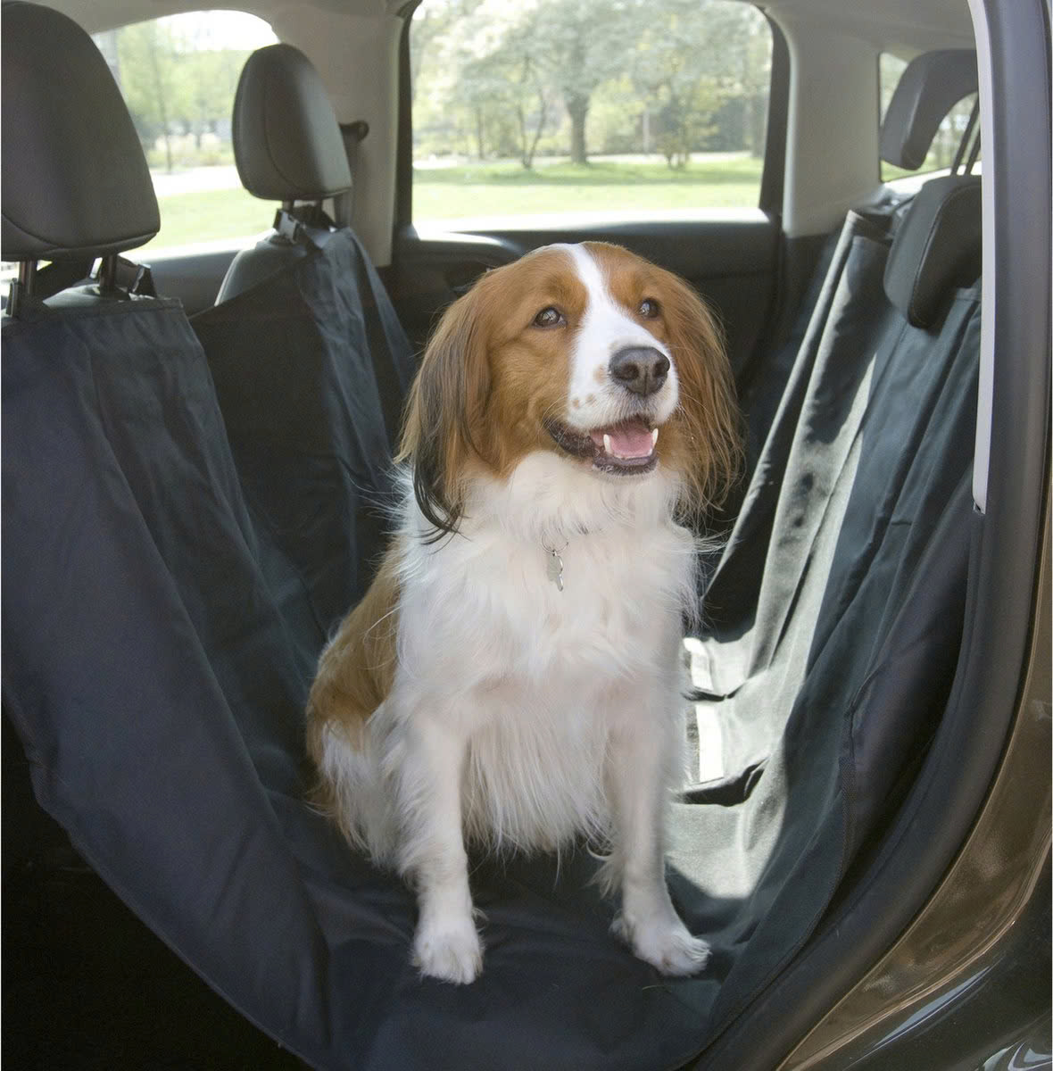 Halsbanden en riemen Winkel -Halsbanden en riemen Winkel z6440127063935 874b6882632019ad04f6c7834668d6bd